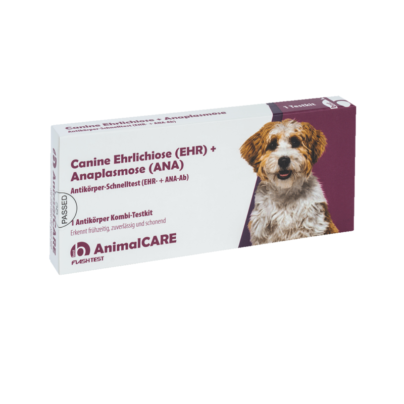 Canine Ehrlichiose (EHR) + Anaplasmose (ANA) Antikörper-Schnelltest – Bild 3