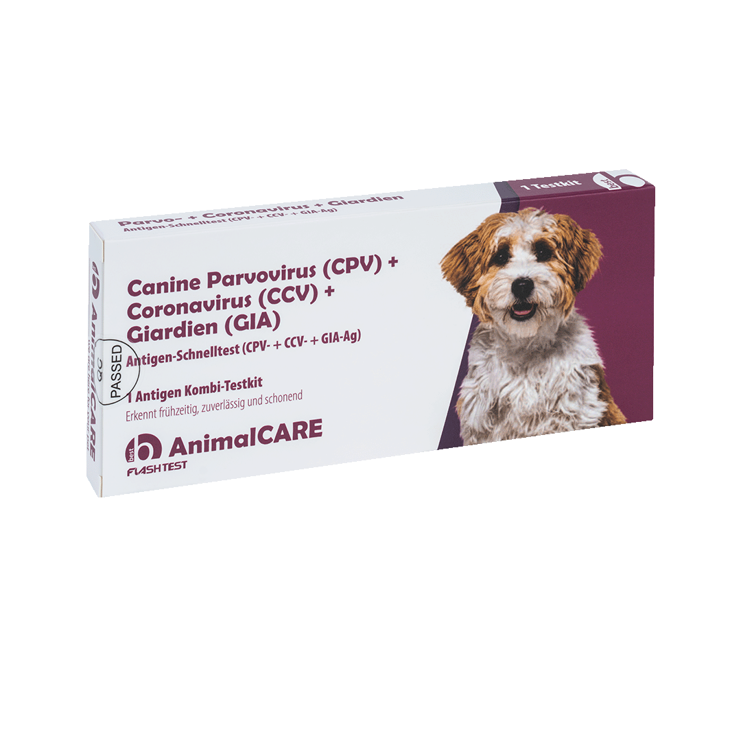 Canine Parvovirus (CPV) + Coronavirus (CCV) + Giardien (GIA) Antigen Kombi-Schnelltest - Corplife – Bild 3