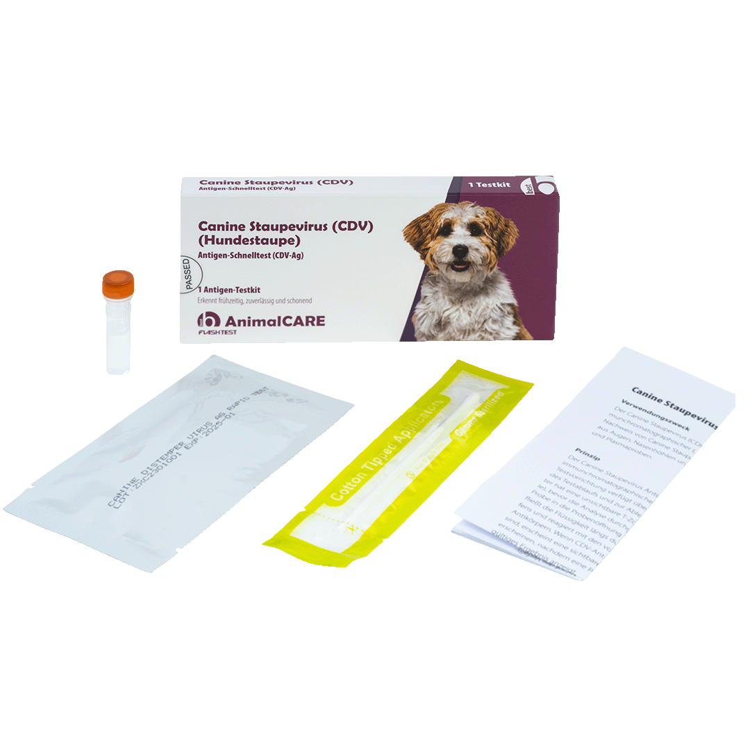 Canine Staupevirus (CDV) Antigen Schnelltest – Bild 4