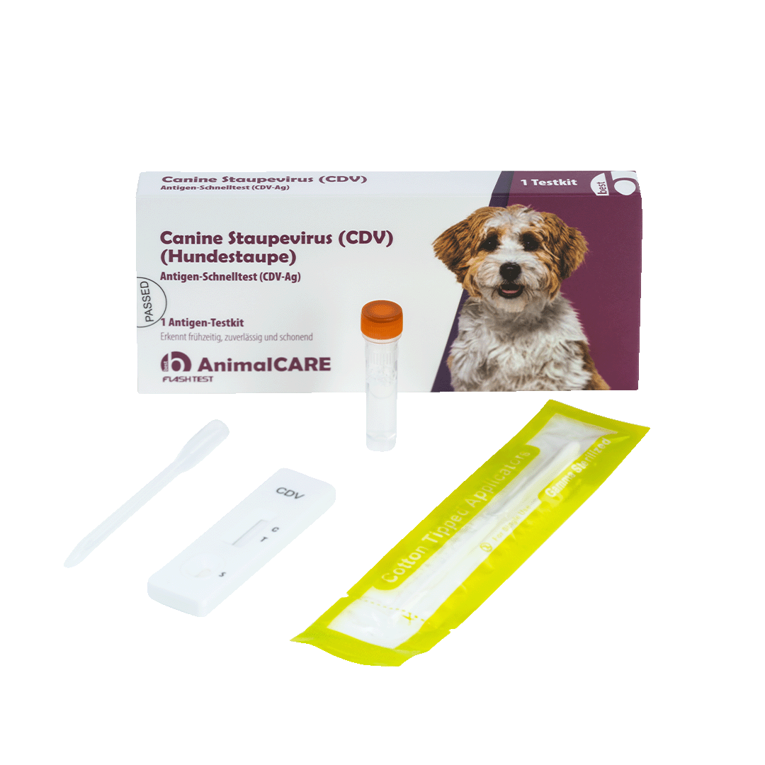 Canine Staupevirus (CDV) Antigen Schnelltest – Bild 5