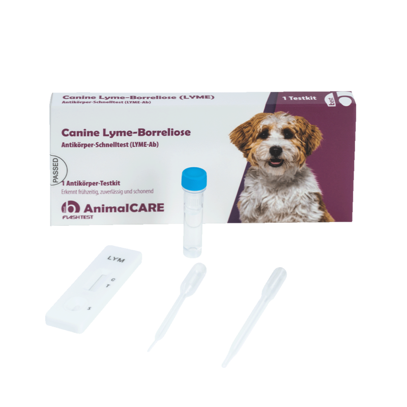 Canine Lyme-Borreliose Antikörper-Schnelltest – Bild 5