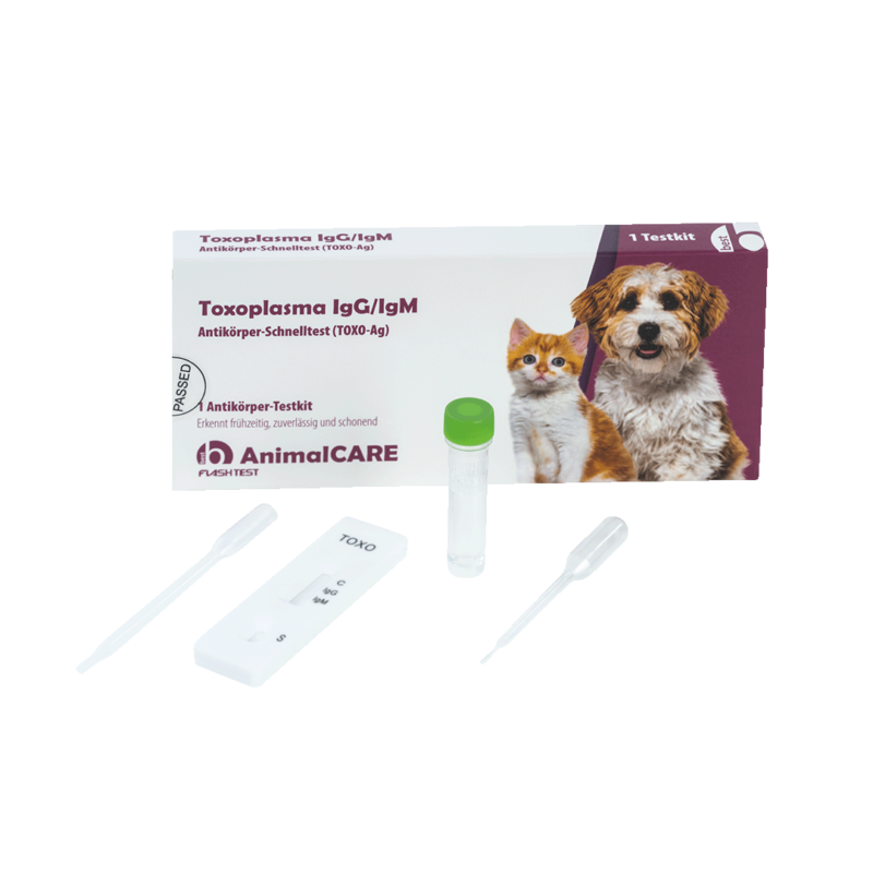 Toxoplasma IgG/IgM Antikörper-Schnelltest – Bild 5