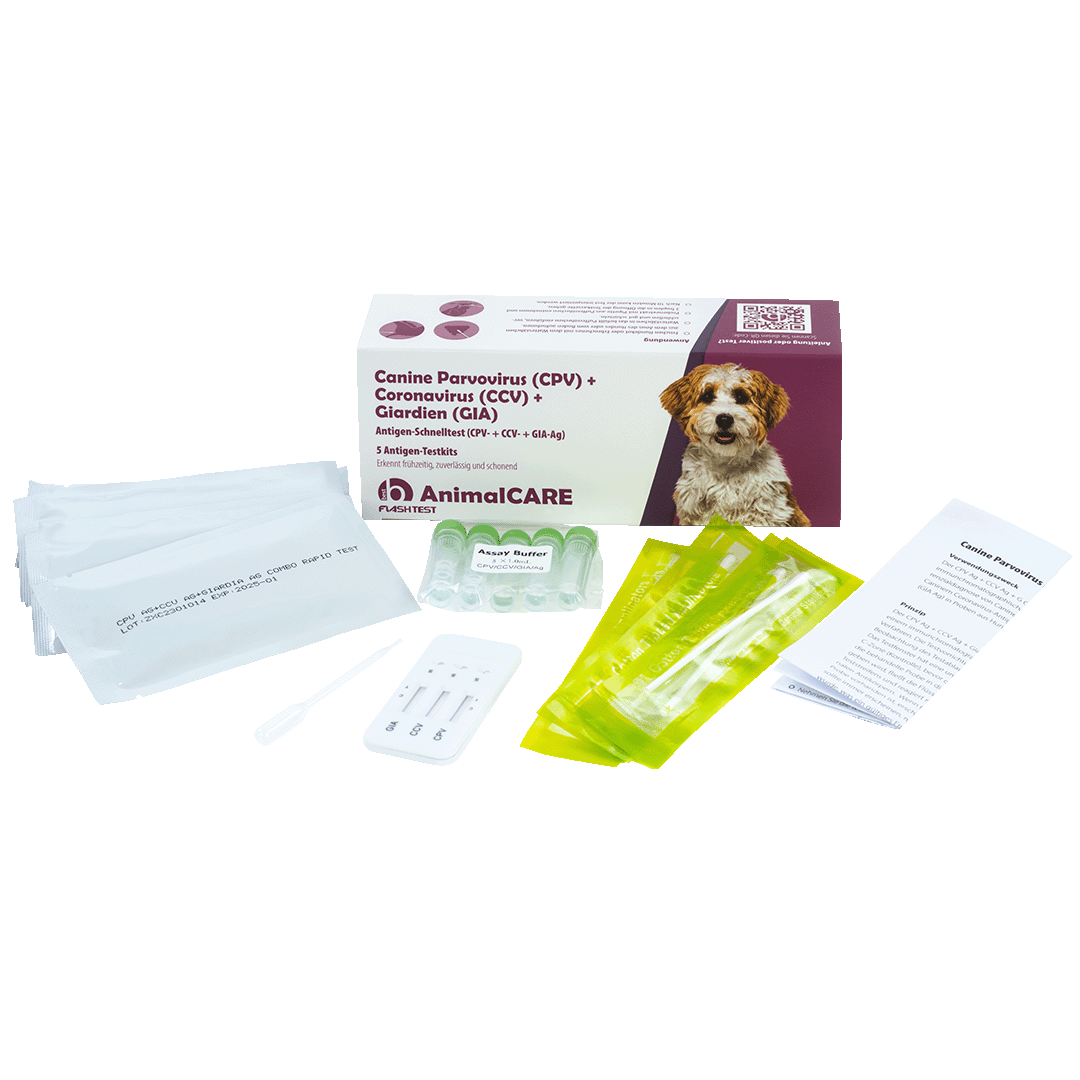 Canine Parvovirus (CPV) + Coronavirus (CCV) + Giardien (GIA) Antigen Kombi-Schnelltest - Corplife – Bild 2