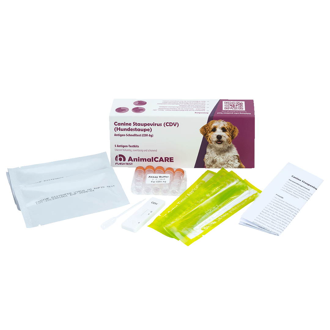 Canine Staupevirus (CDV) Antigen Schnelltest – Bild 2
