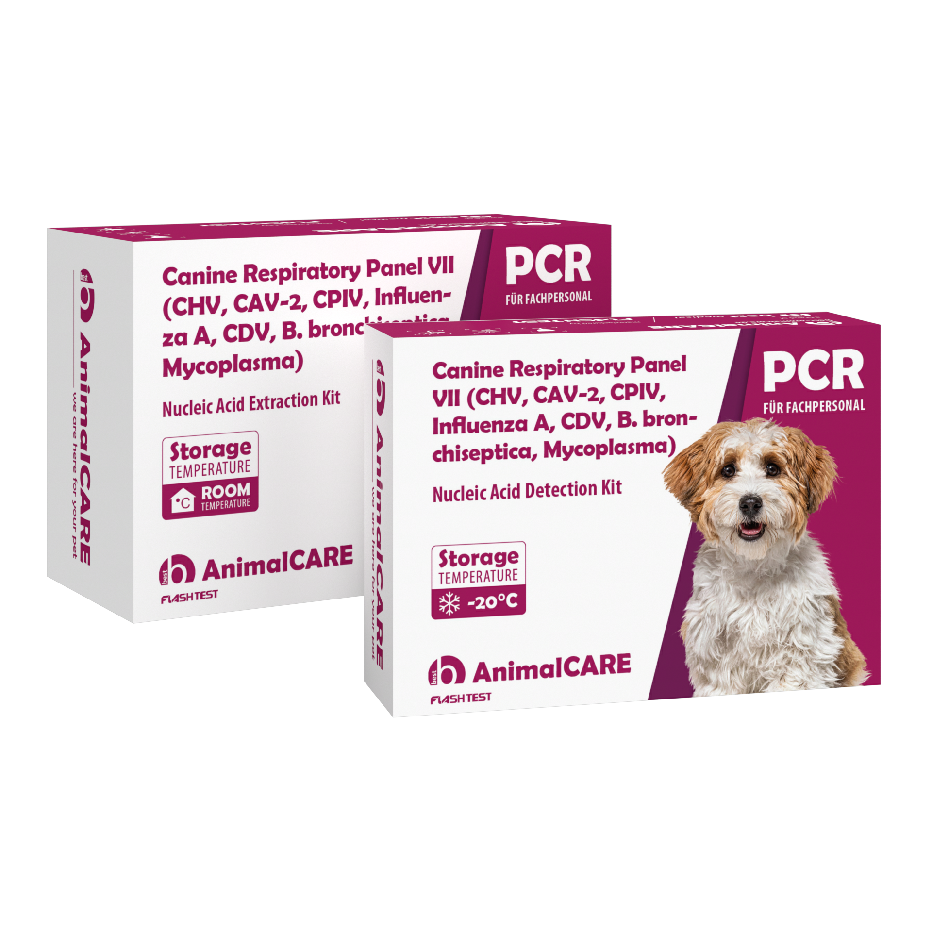 Canine Respiratory Panel VII (CHV, CAV-2, CPIV, Influenza A, CDV, B.bronchiseptica, Mycoplasma) – PCR-Komplettset <b>(4 St.)</b>