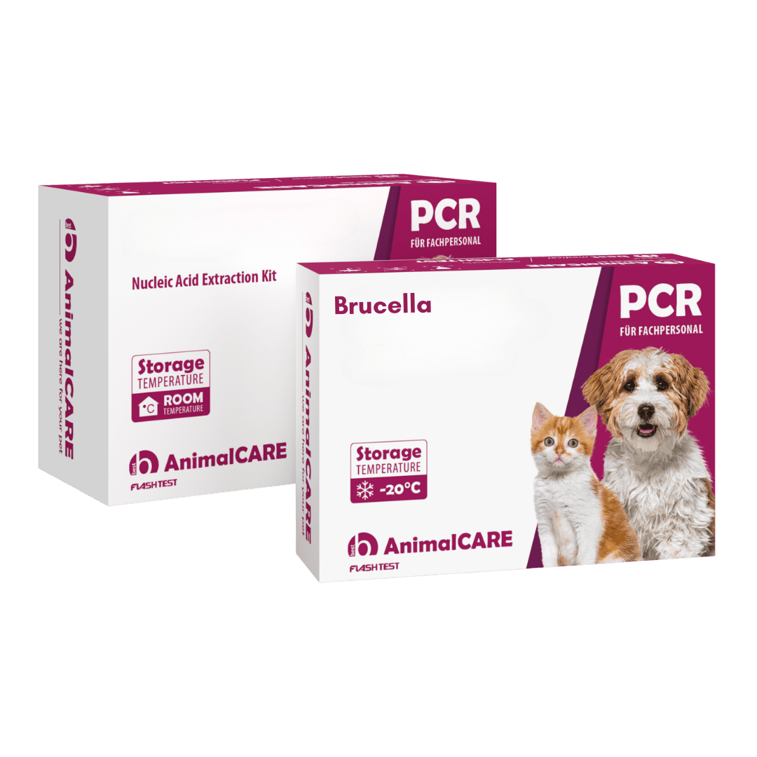 Brucella – PCR-Komplettset <b>(4 St.)</b>