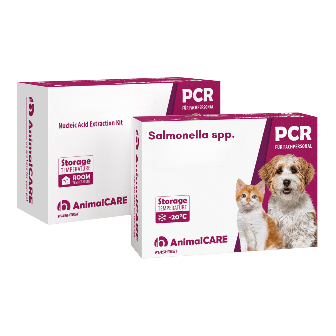 Salmonella spp. – PCR-Komplettset <b>(4 St.)</b>