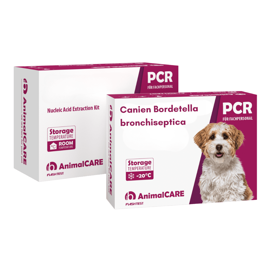 Canine Bordetella Bronchiseptica – PCR-Komplettset <b>(4 St.)</b>