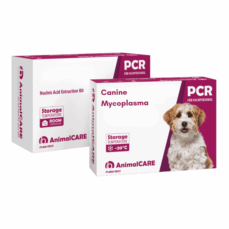 Canine Mykoplasma– PCR-Komplettset <b>(4 St.)</b>