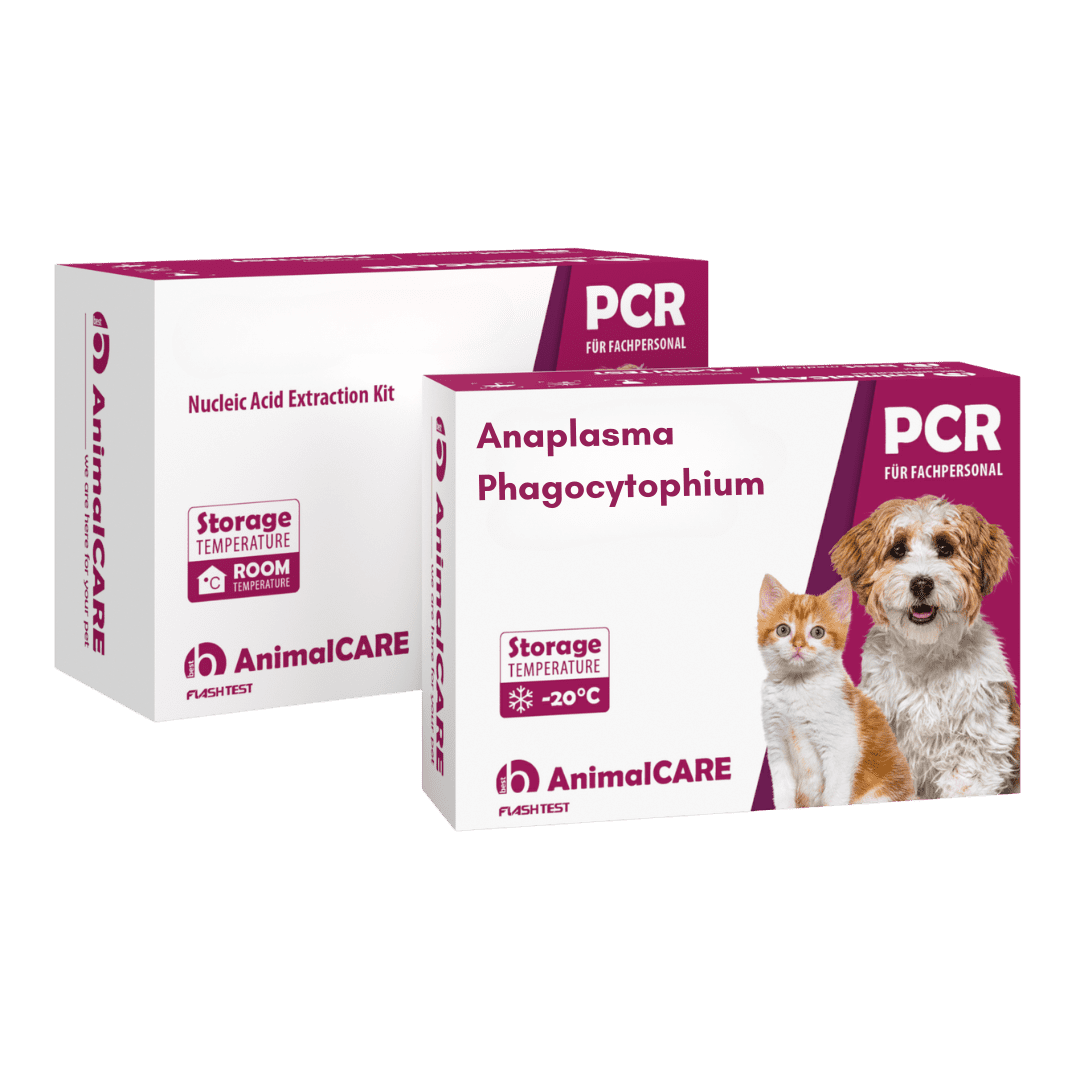 Anaplasma phagocytophium – PCR-Komplettset <b>(4 St.)</b>