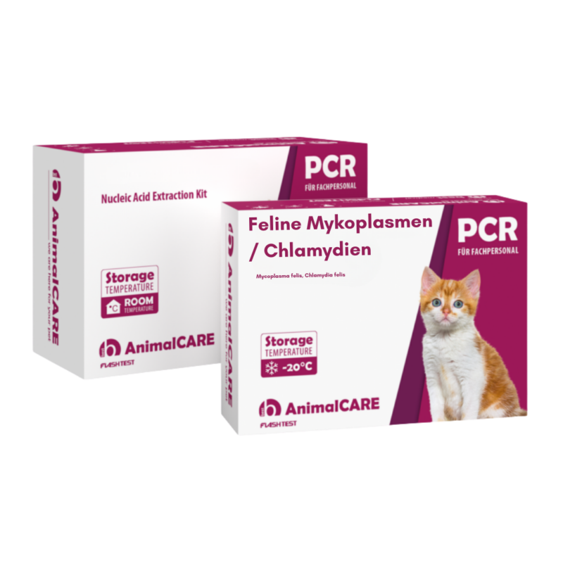 Feline Mykoplasmen / Chlamydien