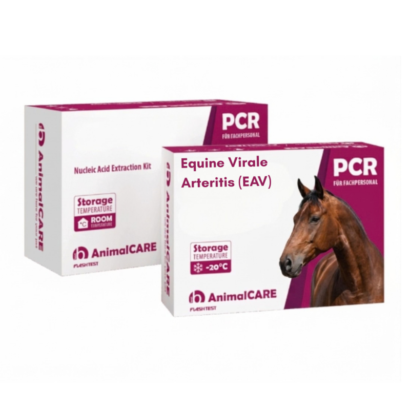 Equine Virale Arteritis