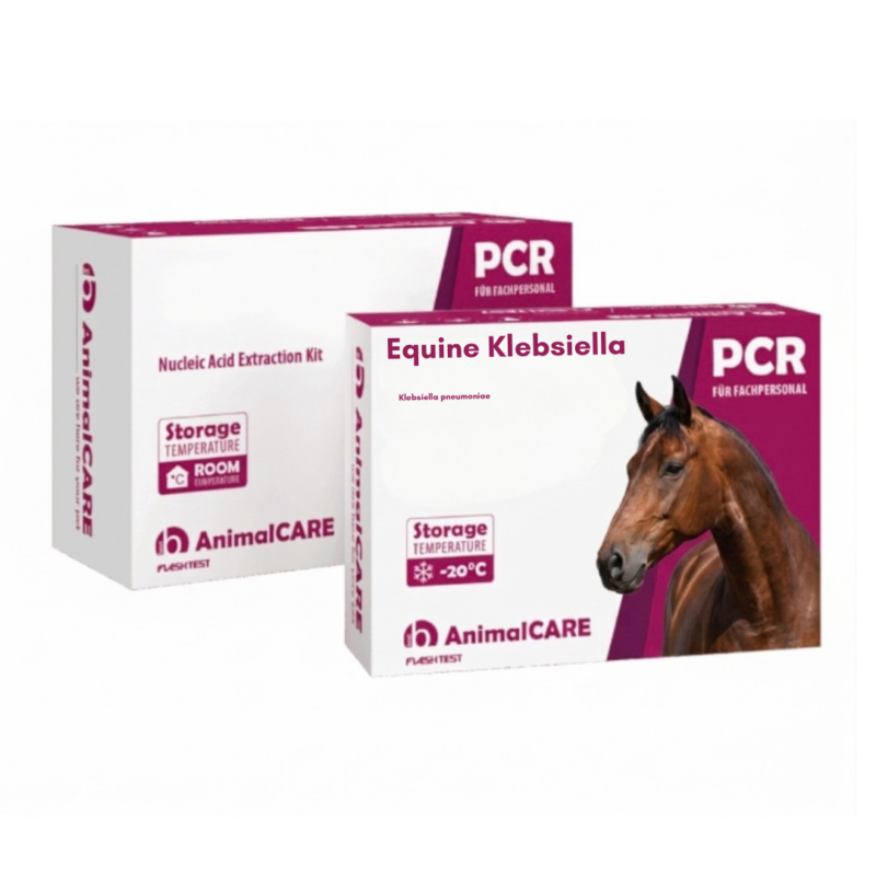 Equine Klebsiella